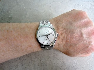 JLC DualTime Wrist